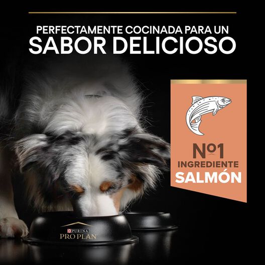 Pro Plan Adult Medium Sensitive Skin Salmón pienso para perros, , large image number null